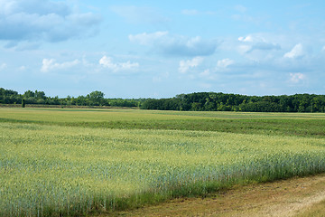 Image showing Field