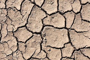 Image showing Dry land