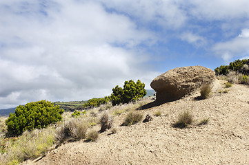 Image showing Landscape in Faial, Azores