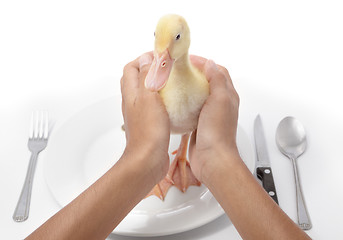 Image showing Serving duck for diner