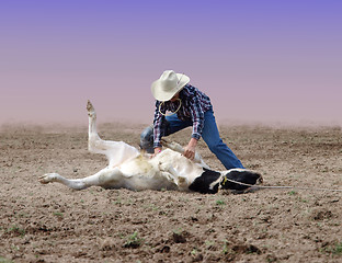 Image showing Cowboy wrestling with a steer