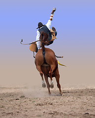 Image showing Bucking Rodeo Horse 