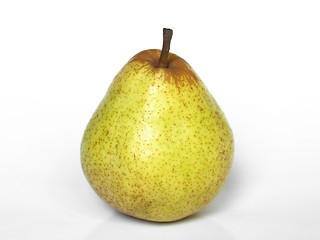 Image showing Pear