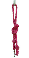 Image showing Lead Rope