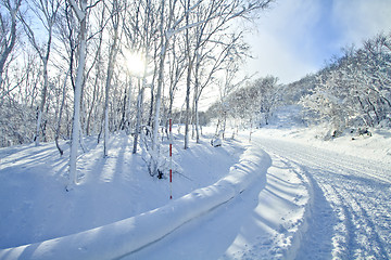 Image showing Winter landscape