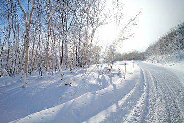 Image showing Winter landscape