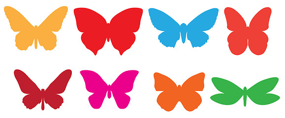 Image showing  funky colorful butterfly