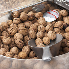 Image showing Greek Walnuts