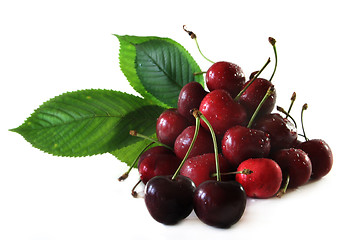 Image showing cherries