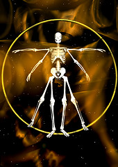 Image showing Leonardo skeleton
