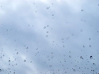 Image showing Rain droplets