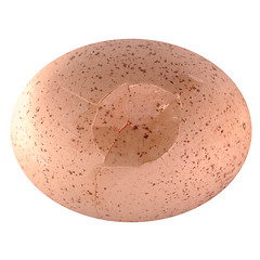 Image showing Cracked egg