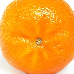 Image showing Tangerine