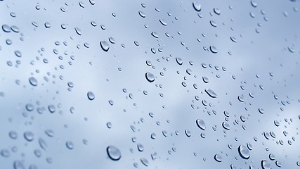 Image showing Rain droplets