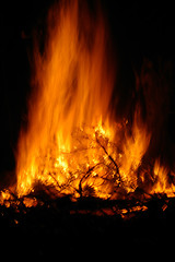 Image showing Fire 2