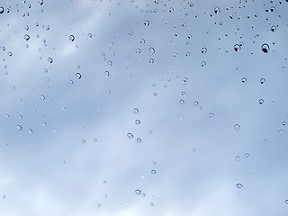 Image showing Rain droplets