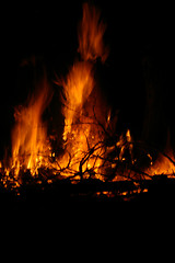 Image showing Fire 1