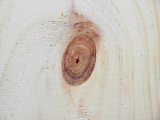Image showing Pinus Radiata Knot