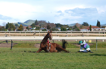 Image showing Horse & Rider Down