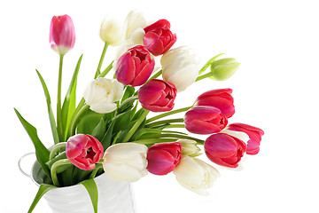 Image showing Red and white tulips