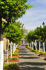 Image showing Plaza Tapatia leading to Hospicio Cabanas in Guadalajara, Jalisco, Mexico