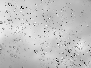 Image showing Rain droplets