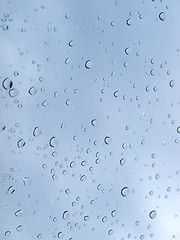 Image showing Rain droplets