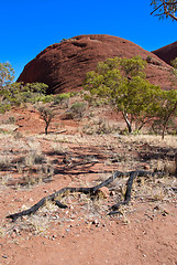 Image showing Australian Outback