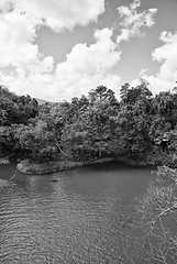 Image showing Paronella Park, Australia