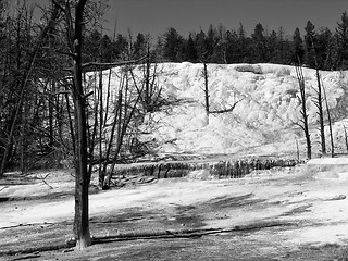 Image showing Orange Spring Mound, Yellowstone