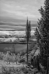 Image showing Tuscan Countryside by Infrared