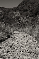 Image showing Australian Outback