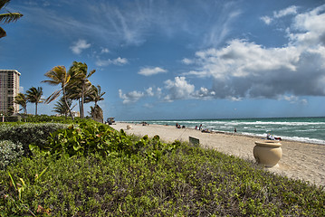 Image showing Park in Miami, Florida