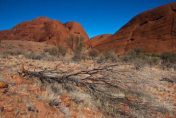 Image showing Australian Outback