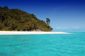 Image showing Thai Island, 2007