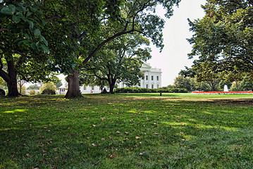 Image showing White House Garden