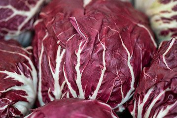 Image showing Radicchio