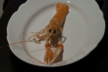 Image showing Prawn ready to be eaten, Italy