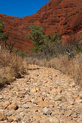 Image showing Australian Outback