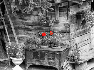 Image showing Dolomites Cottage, Italy, August 2003