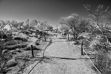 Image showing Australian Outback