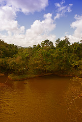 Image showing Paronella Park, Australia