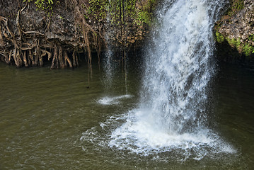 Image showing Paronella Park, Queensland