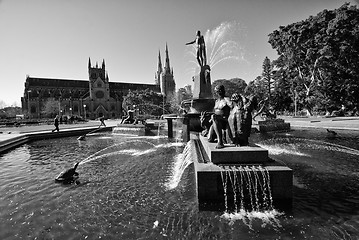 Image showing Archibald Fountain, Sydney