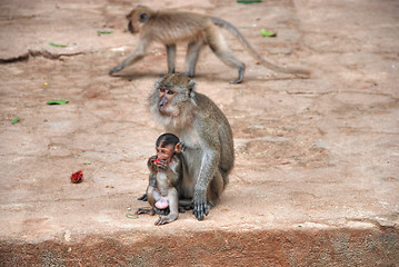 Image showing Chiang Mai, Thailand