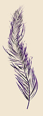 Image showing Purple feather