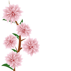 Image showing Pink flowers