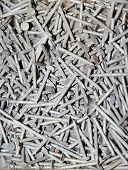 Image showing Nails