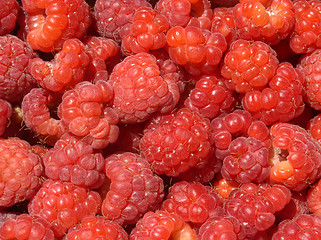 Image showing raspberries