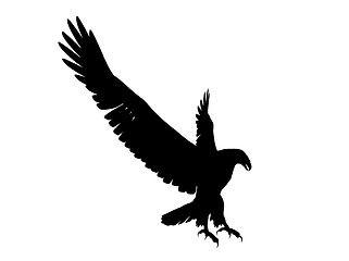 Image showing Eagle Silhouette